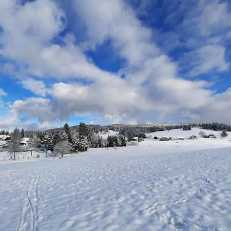 Gemuetliche Ferienwohnung Fuer 4 Gaeste In Schoenwald Schönwalde Exteriör bild
